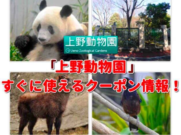 「上野動物園」のクーポン一覧！【最新版】