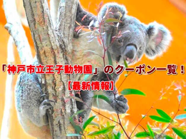 「神戸市立王子動物園」のクーポン一覧！【最新版】