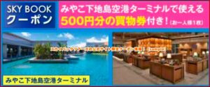 スカイパックツアーズの公式サイト限定クーポン情報！【sample】