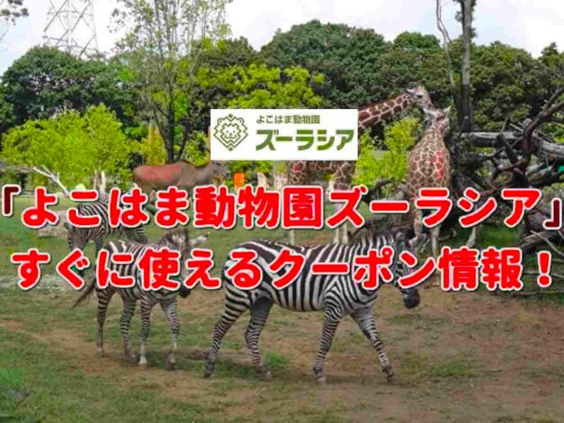 「よこはま動物園ズーラシア」のクーポン一覧！【最新版】