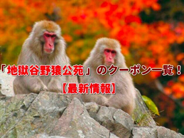 「地獄谷野猿公苑」のクーポン一覧！【最新版】