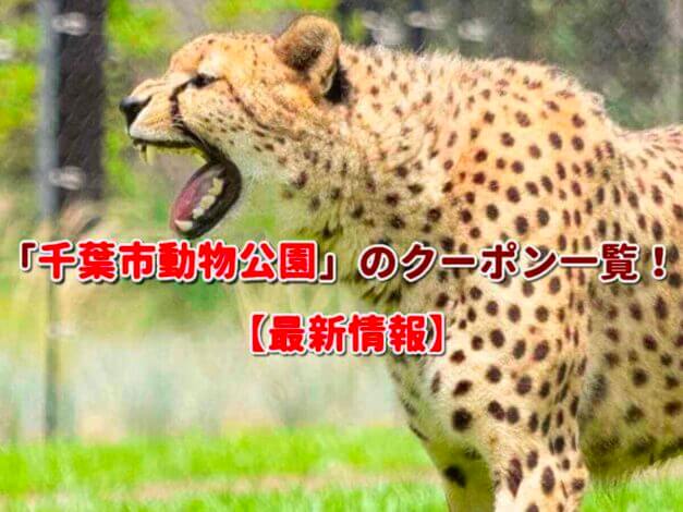 「千葉市動物公園の」のクーポン一覧！【最新版】