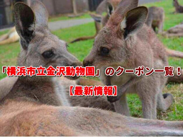 「横浜市立金沢動物園」のクーポン一覧！【最新版】