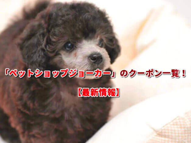 「ペットショップジョーカー」のクーポン一覧！【最新版】
