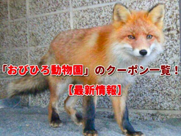 「おびひろ動物園」のクーポン一覧！【最新版】