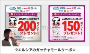 ウエルシアのガッチャモールクーポン一覧（sample）
